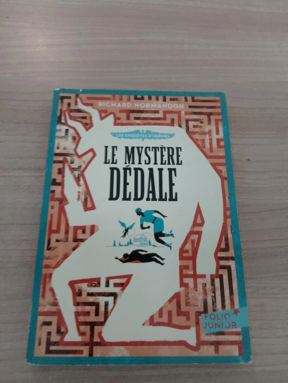 Les enquêtes d'Hermè, tome 1 : Le mystère Dédale